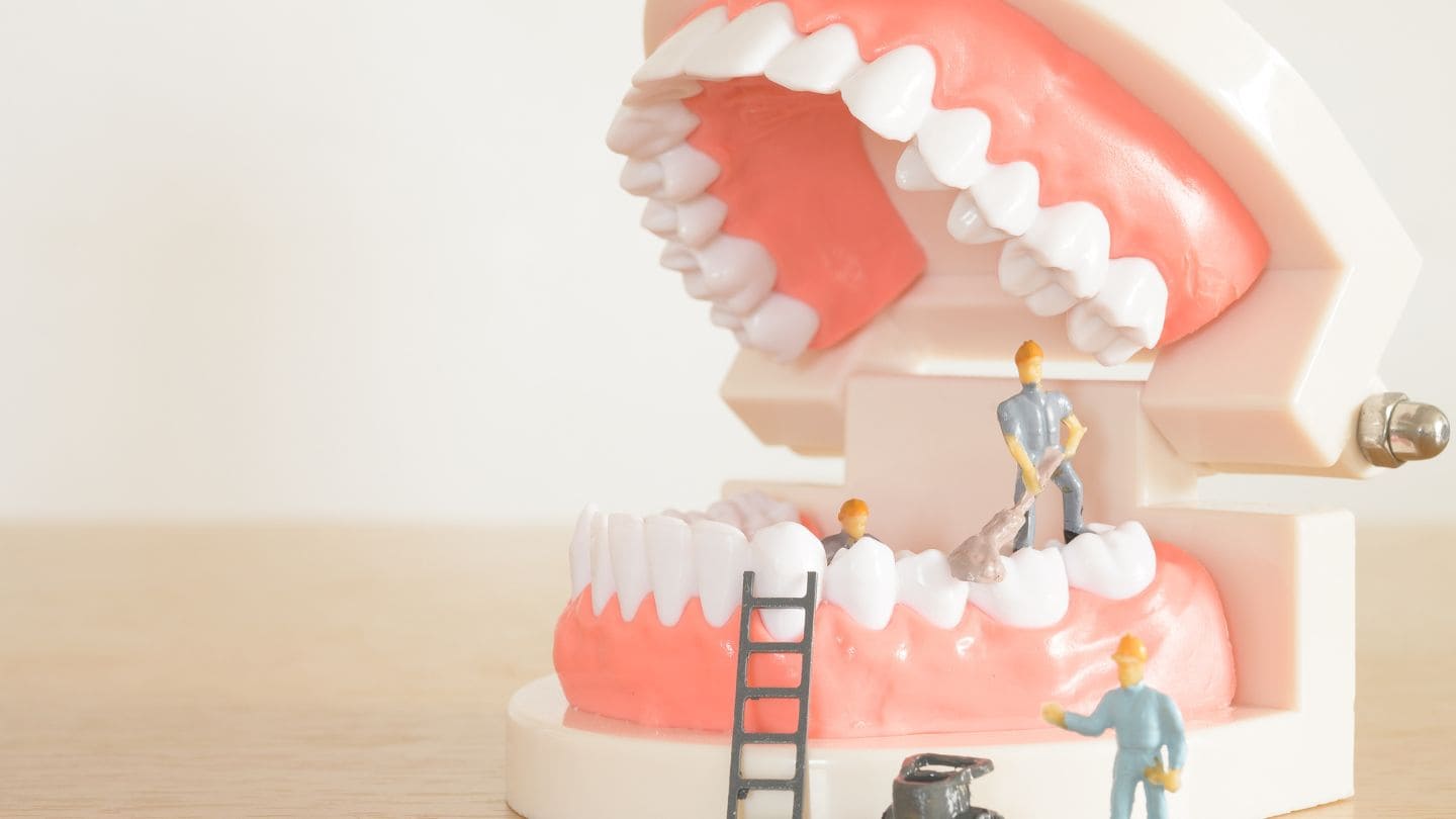 Orthodontiste dans le Nord (59)